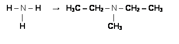 Text Box: H – N – H     →   H3C – CH2 – N – CH2 – CH3         |                                         |                        H                                      CH3