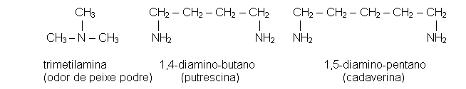 Text Box:           CH3                         CH2 – CH2 – CH2 – CH2           CH2 – CH2 – CH2 – CH2 – CH2              |                       |                               |            |                                          |   CH3 – N – CH3              NH2                          NH2        NH2                                                     NH2     trimetilamina                1,4-diamino-butano                     1,5-diamino-pentano  (odor de peixe podre)         (putrescina)                                (cadaverina)