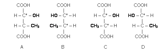 Text Box:   COOH                     COOH                     COOH                  COOH         |                               |                               |                            |  H – C* – OH         HO – C* – H              H – C* – OH       HO – C* – H          |                               |                               |                             |  H – C – CH3            CH3 – C* – H           CH3 – C* – H            H – C – CH3         |                               |                               |                             |    COOH                     COOH                       COOH                 COOH                           A                              B                               C                           D