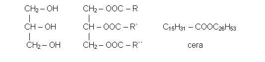 Text Box: CH2 – OH           CH2 – OOC – R                      |                          |  CH – OH            CH – OOC – R`           C15H31 – COOC26H53    |                          |   CH2 – OH          CH2 – OOC – R``                    cera    glicerina                  glicerídio